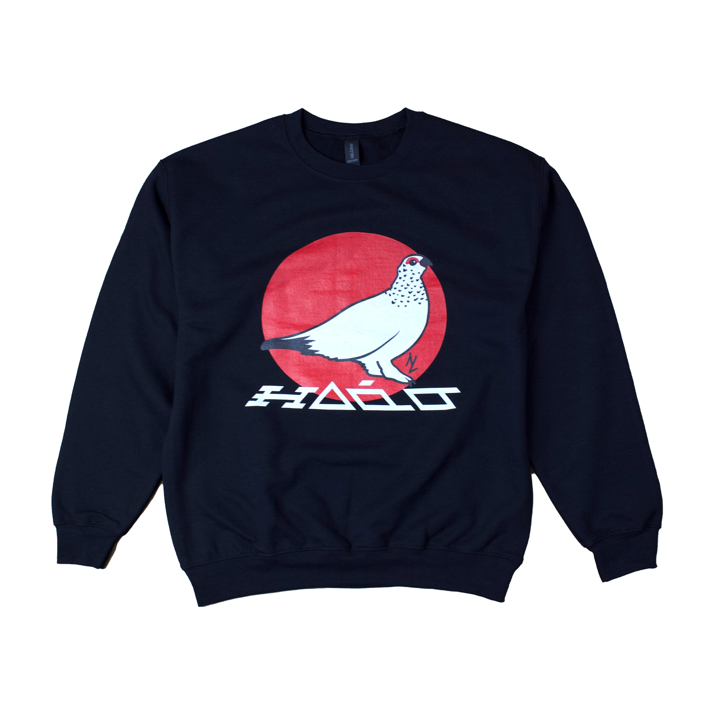 AQIGGIQ SWEATSHIRT